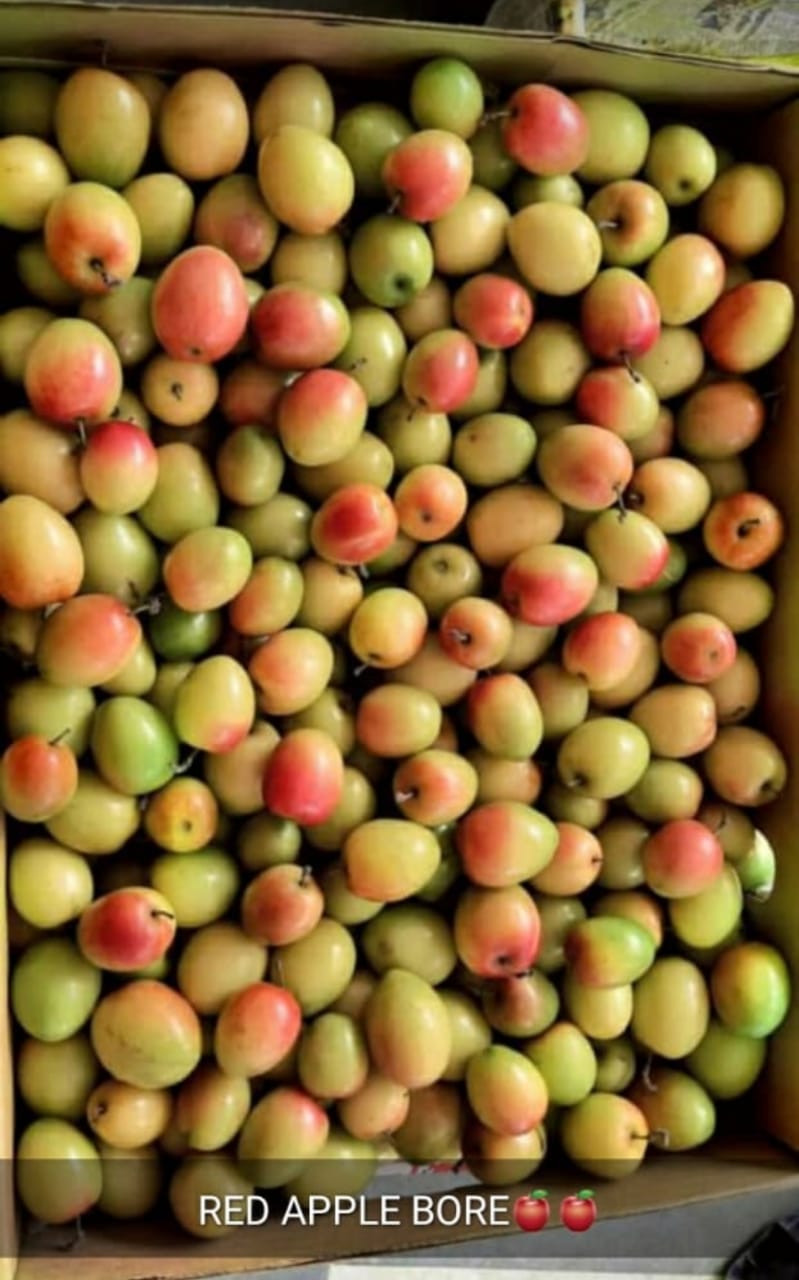 Red Apple Ber - 4Kg Pack