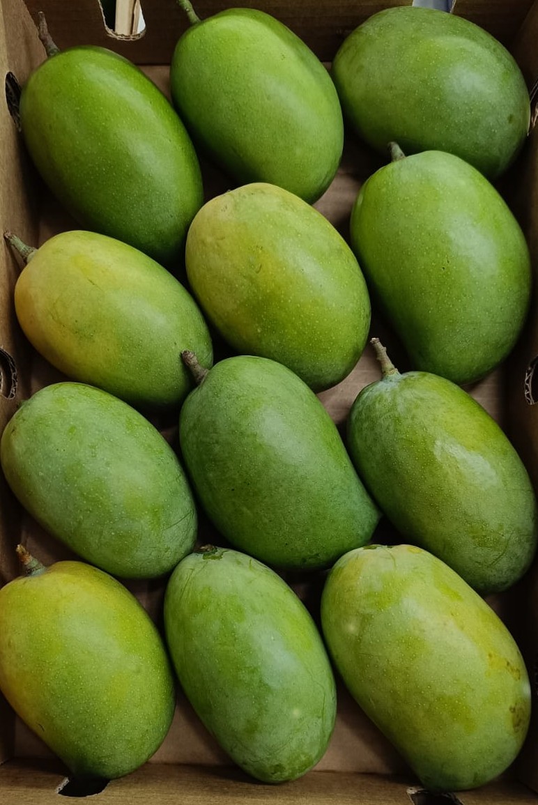 Mango-Kesar (3Kg Pack)
