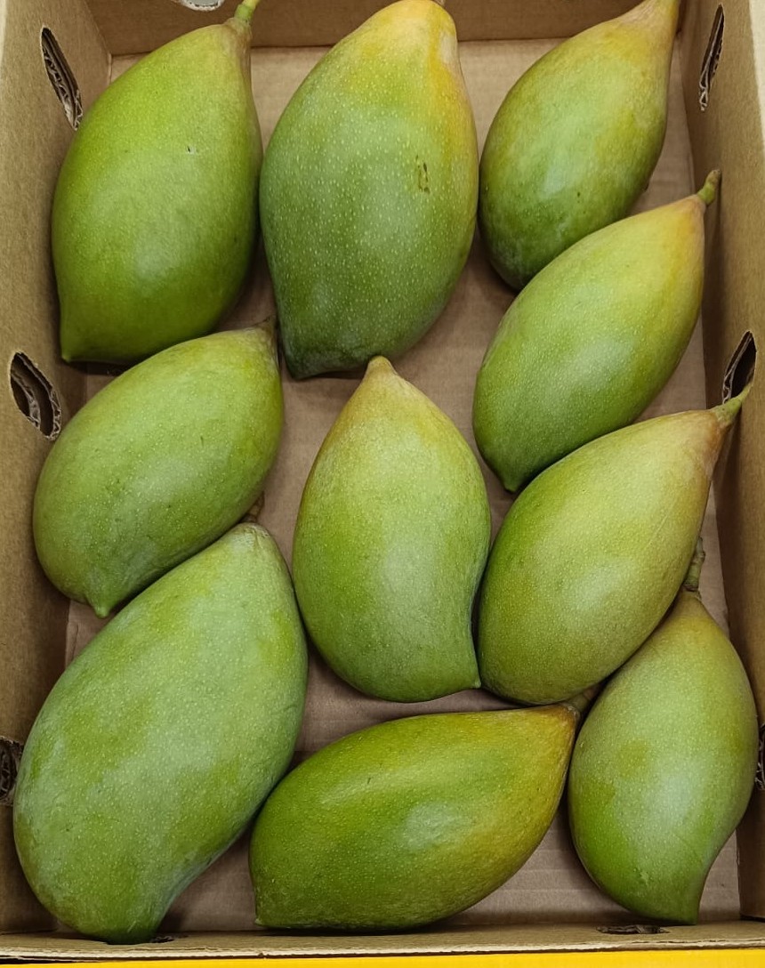 Mango-Totapuri (4 Kg Pack)