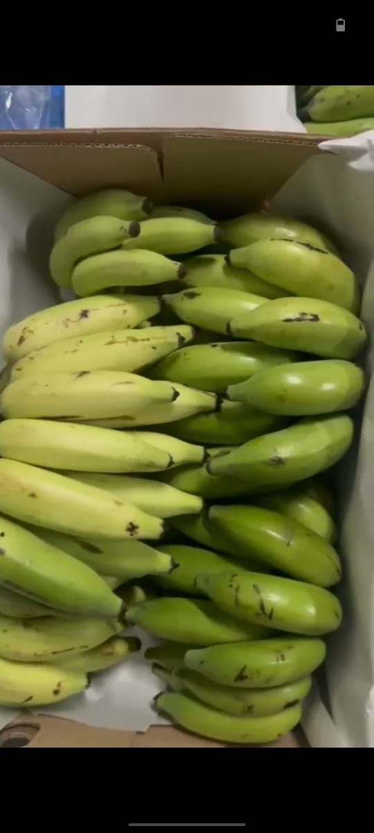 Banana (Green Elaichi) - 4Kg Pack