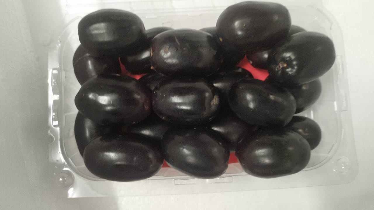 Jamun - 6Kg Pack