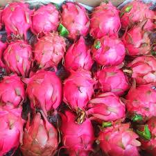 Dragon Fruit (Yellow) -2.7Kg