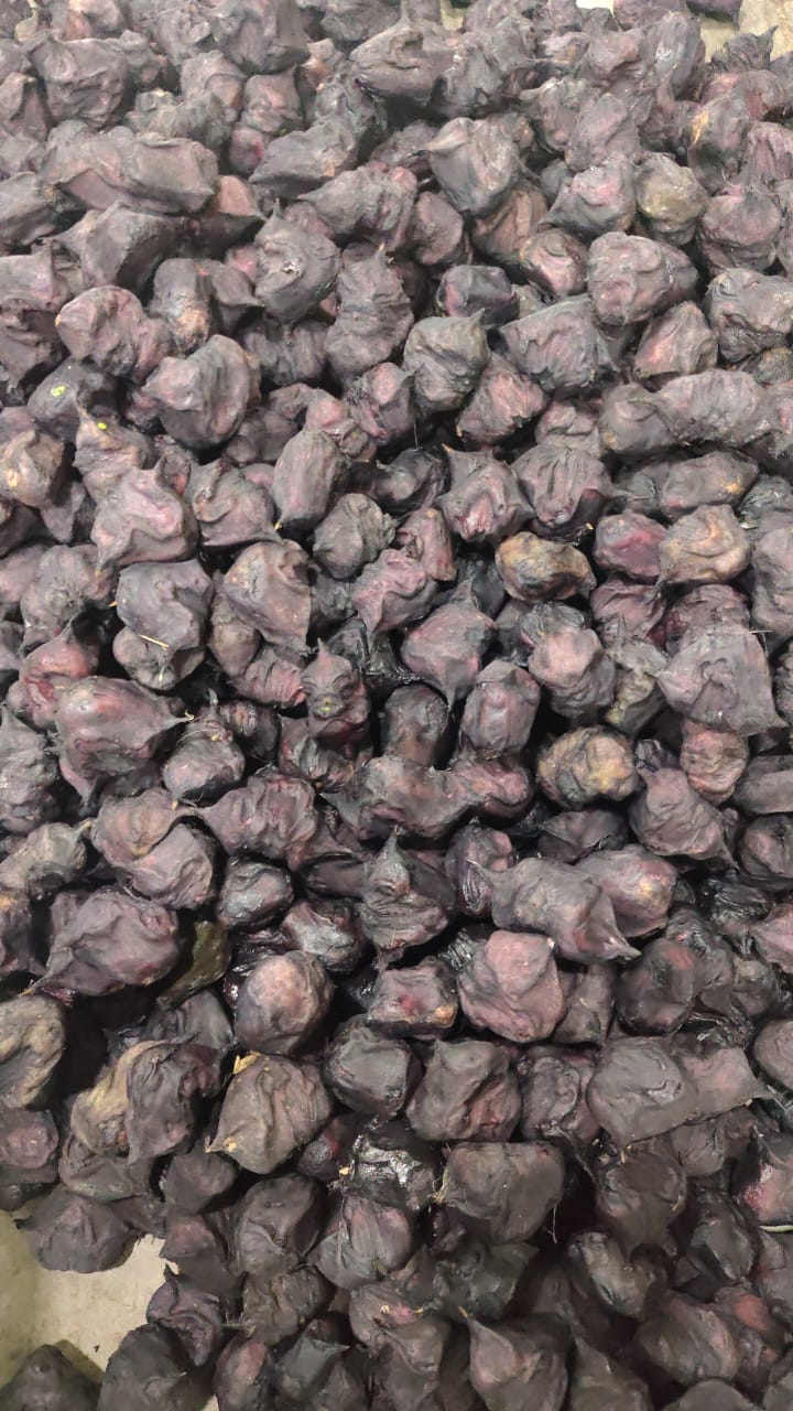 Singoda - 4Kg Pack (Boiled)